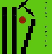 Test Match